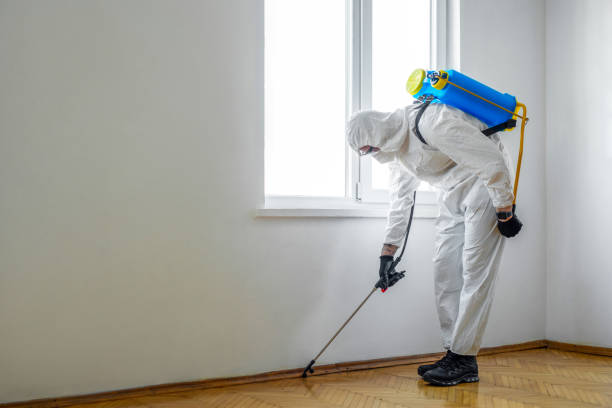 Best Bed Bug Extermination  in West Hattiesburg, MS